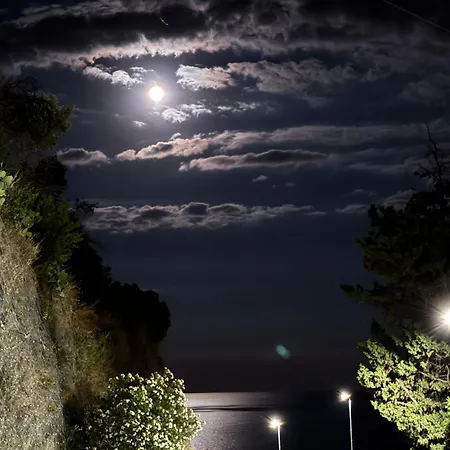 La Notte Dei Tempi Scaletta Zanclea